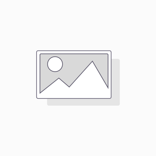 255 35 R22 POTENZA SPORT